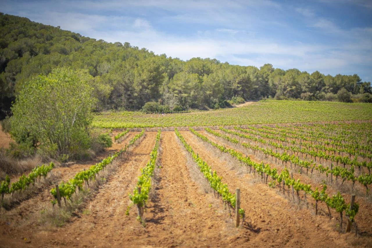 Catalunya Casas Tranquil Nature "Feel" , Yet Only 4 Min To Beach! Calafell Exteriér fotografie